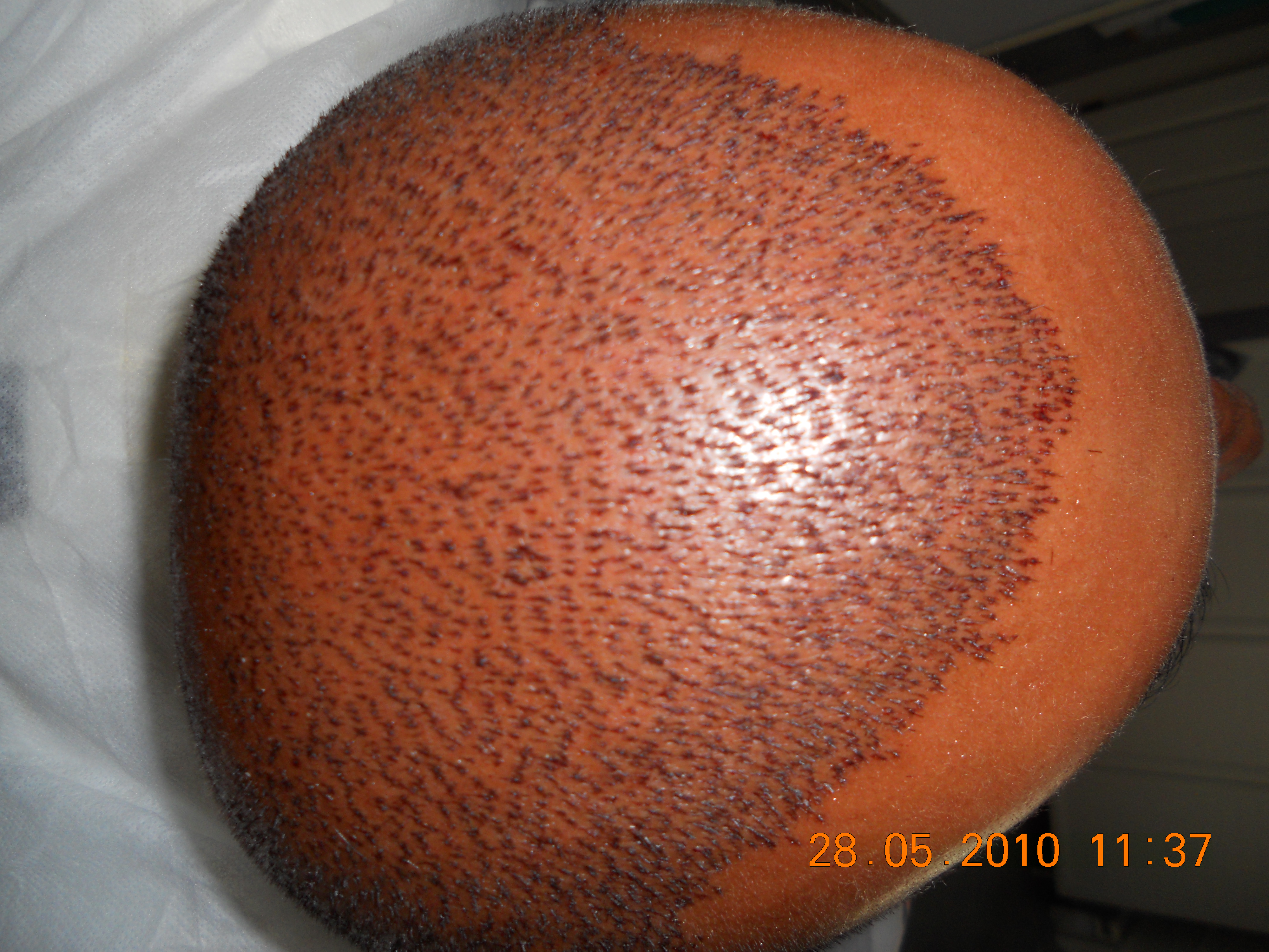 1275726211-Arka gorunum 1.jpg